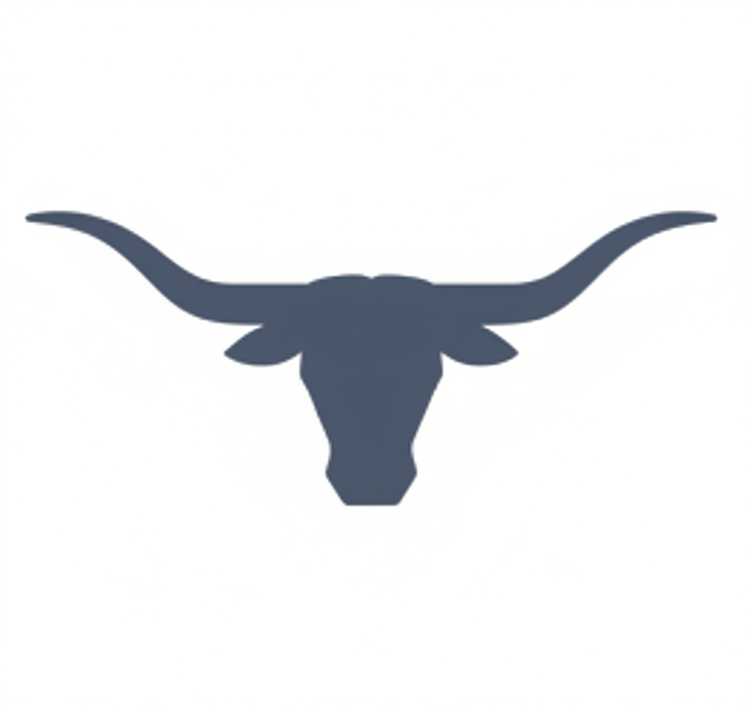 Dallas Fort Worth icon