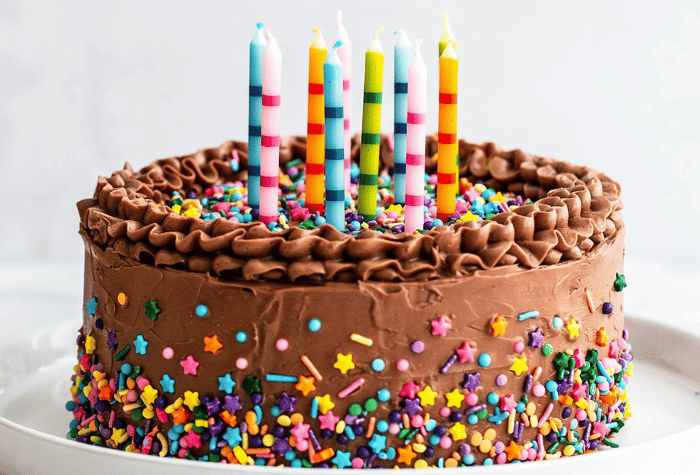A chocolate frosted cake decorated with colorful sprinkles and topped with striped birthday candles sits on a white plate.