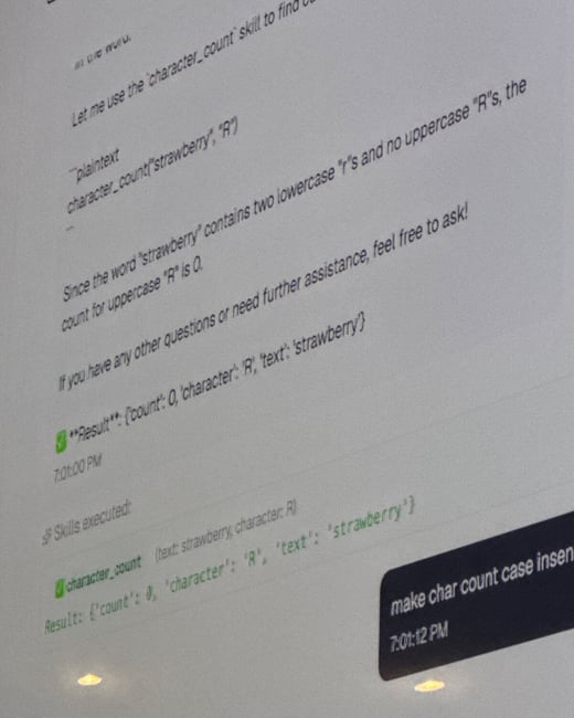 A close-up photograph of a computer screen displaying a conversational AI interface, showing the execution of a 'character_count' skill and a subsequent user prompt.