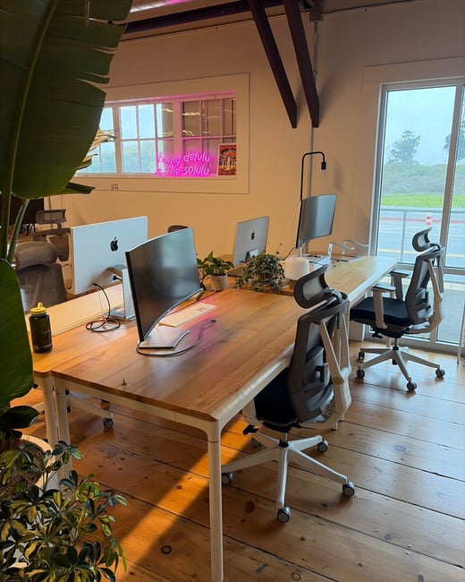 A photograph showing a modern, plant-filled office interior featuring a long wooden desk equipped with multiple computer monitors and ergonomic office chairs. The space has exposed wooden beams, floorboards, and features a pink neon sign in an interior window that reads "being delulu & the solulu."