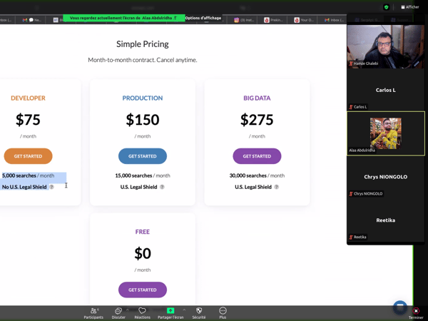 A screenshot of a Zoom video conference showing a participant sharing their screen, which displays a website's 'Simple Pricing' page with four tiers (Developer, Production, Big Data, and Free). The right side of the screen shows the video feeds and names of several meeting participants.