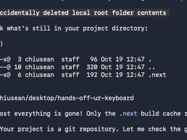 A screenshot of a terminal or chat interface showing a technical discussion about accidentally deleting a local project's contents, followed by running `ls -la` and `pwd` commands to verify the remaining files and current directory.