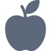 Almaty icon